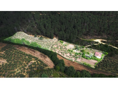 finca-uitgelicht